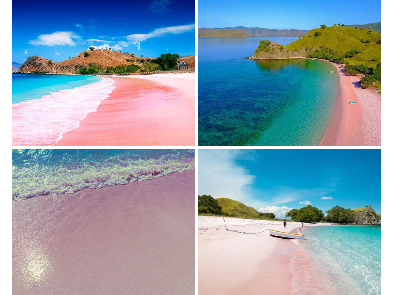 Pink Beach Labuan Bajo Resmi Jadi Pantai Tercantik di Dunia 2025, Ini Fakta Uniknya 1 Untitled design 51