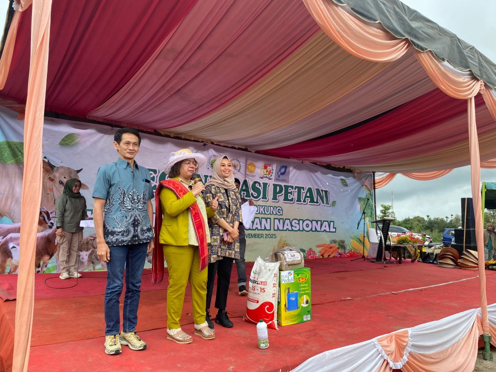 WhatsApp Image 2025 11 23 at 11.06.29