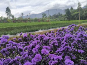 Homepage 38 1000022894 edited