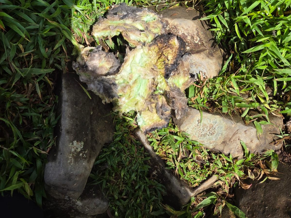 IMG 20260118 WA0021 edited