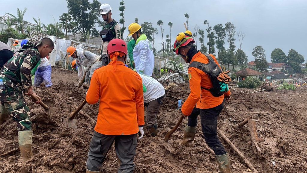 WhatsApp Image 2026 01 28 at 18.52.05