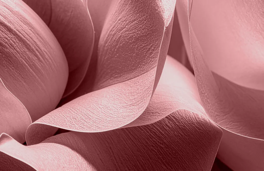 pantone fashion color trend report spring summer 2026 new york intro 1