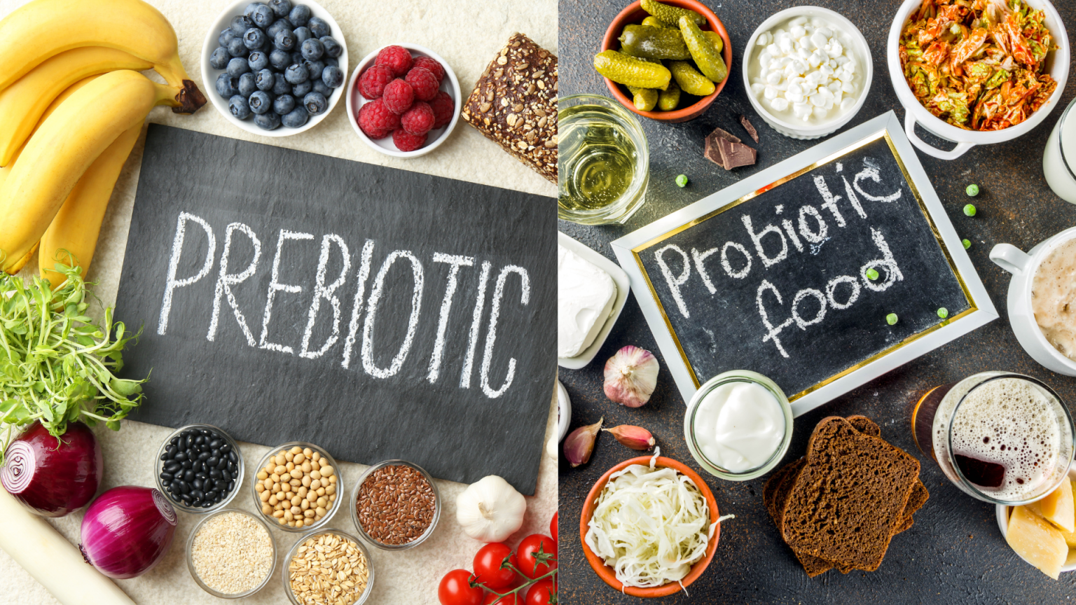 Memahami Peran Probiotik Dan Prebiotik Fondasi Kesehatan