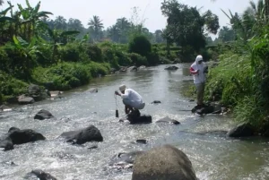 Homepage 54 1771047943 1808937