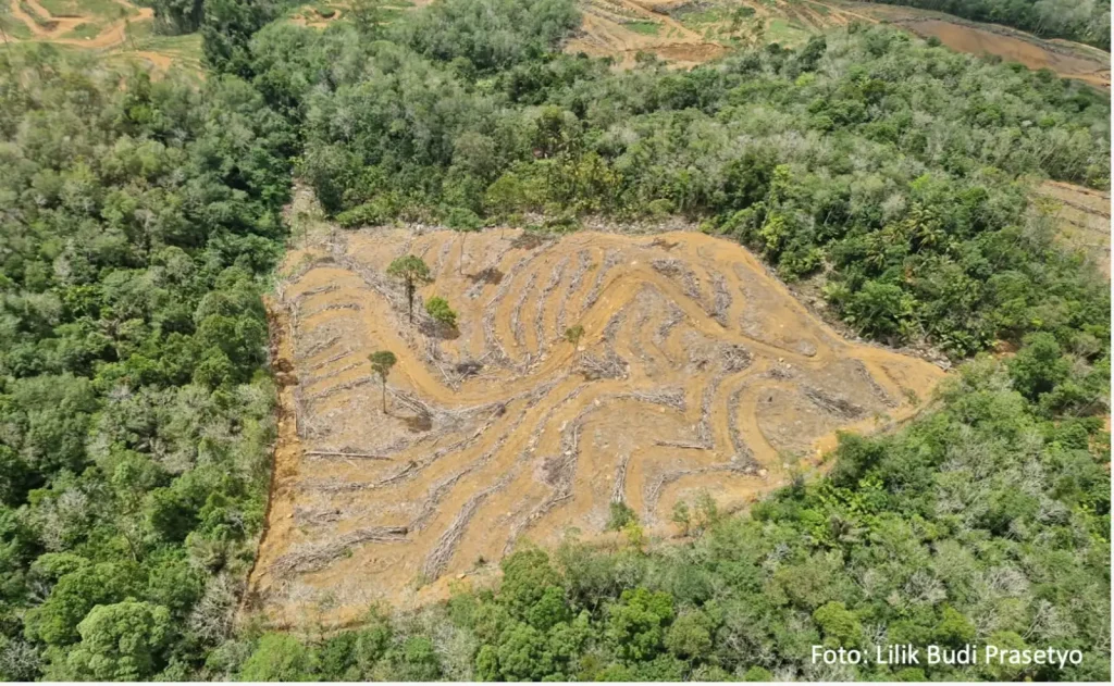 BRIN: Banjir Bandang Alarm Kerusakan Hutan, Bukan Sekadar Hujan Ekstrem 1 1771048480 39961141