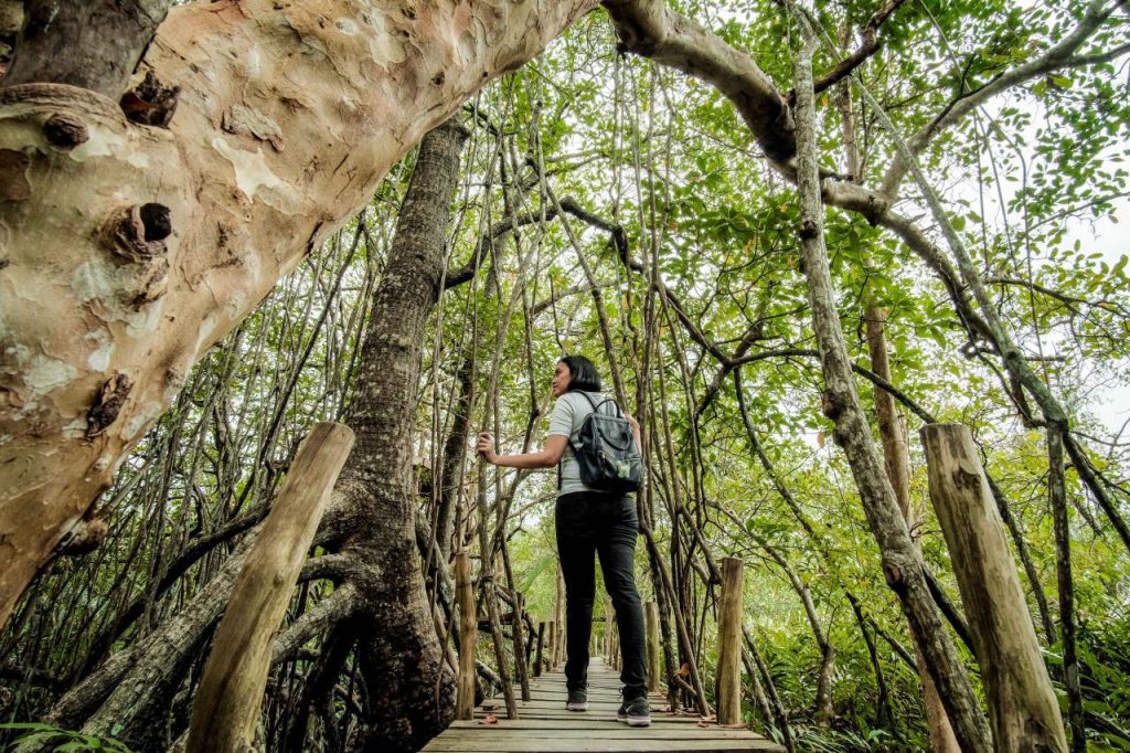 Wamenpar Ni Luh: Pariwisata Berkelanjutan Jadi Kebutuhan Strategis Indonesia 1 WhatsApp Image 2026 02 25 at 15.12.56