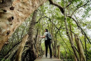 Homepage 51 WhatsApp Image 2026 02 25 at 15.12.56