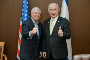 1773055595957 untitled 1