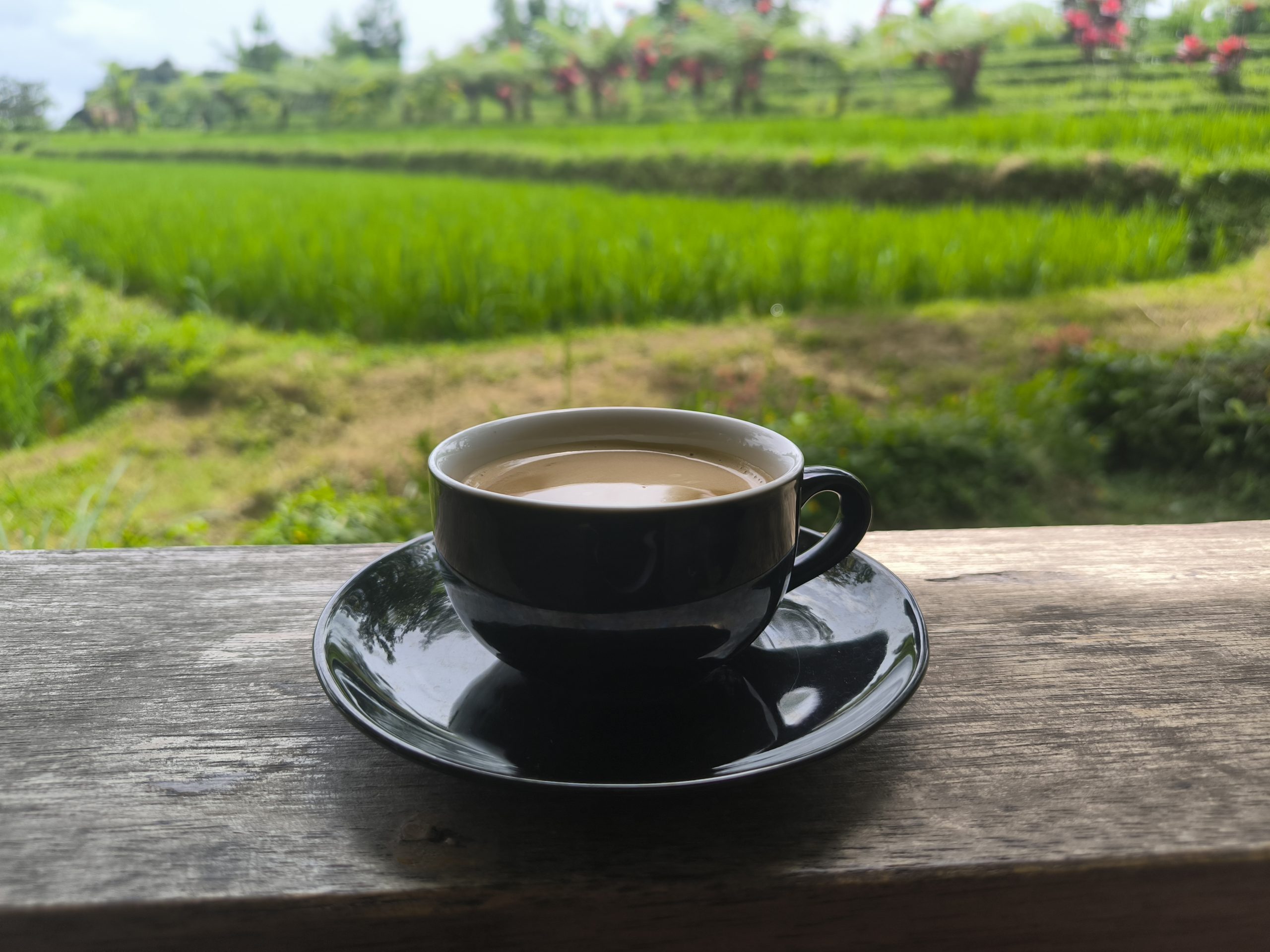 IMG 20260109 111151 scaled