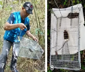 Homepage 52 1776002409 82855967