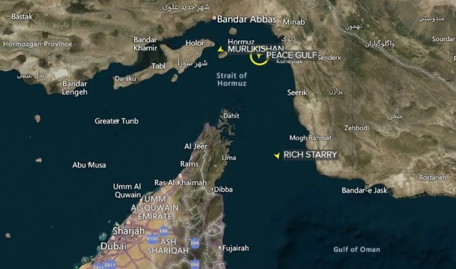 1776226268809 tau cho dau 1