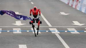 1776607538933 untitled 1