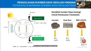 1776896685 91226837 1