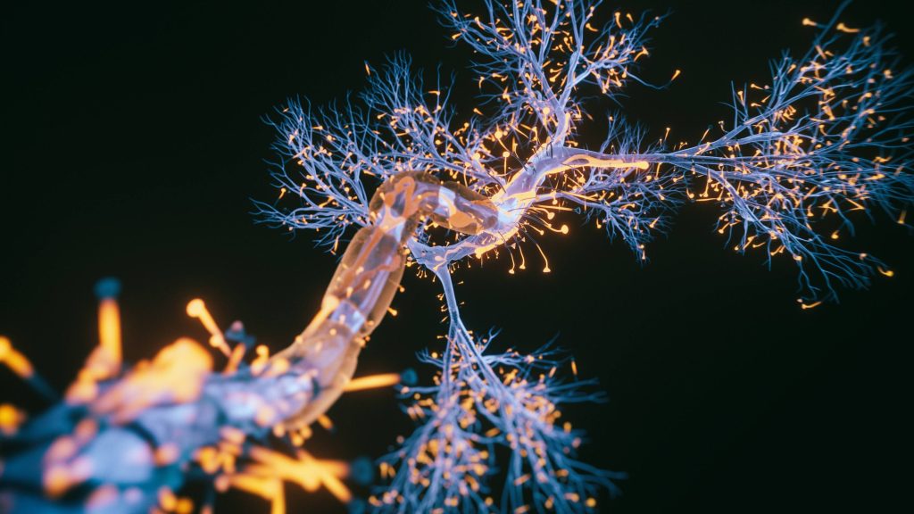 Digital rendering of neurons in the brain GettyImages. 16x9 1 1024x576 1