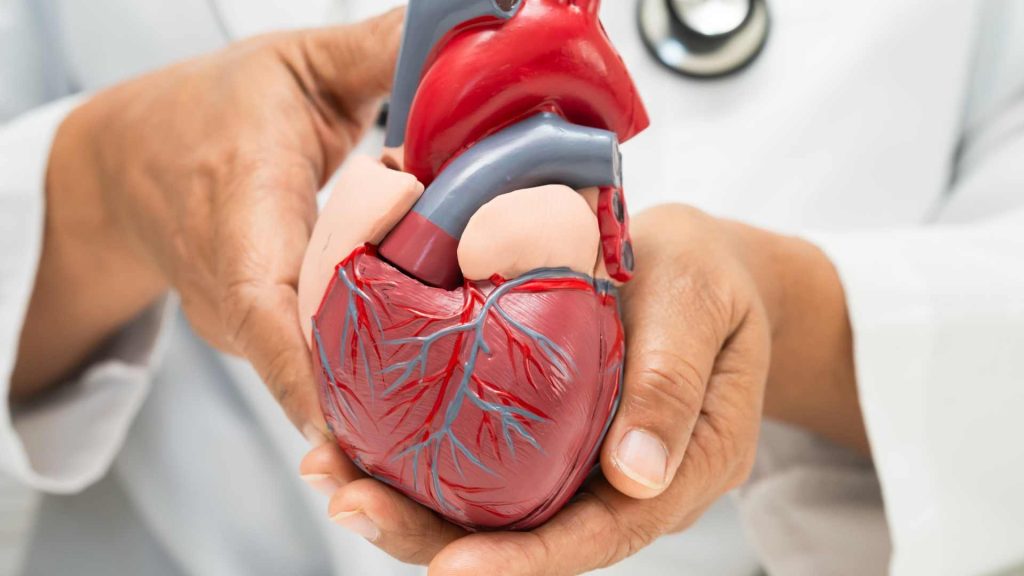 Impella Heart Pump: Teknologi “Backup Jantung” yang Membuat Operasi Jantung Risiko Tinggi Lebih Aman 1 Polyworking 59