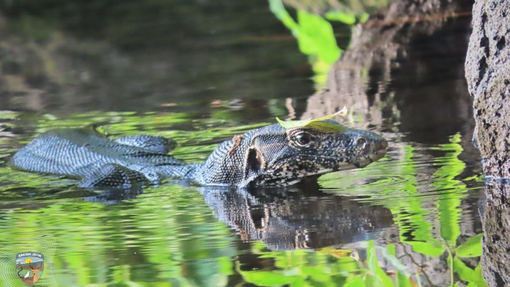 e23b82932da741ce8a7dbb9e1970c28c