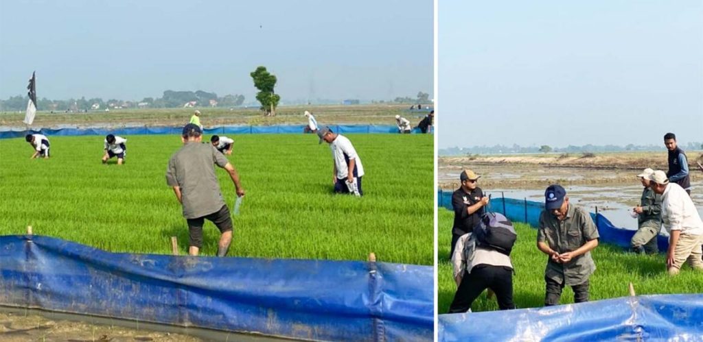 gagasan akademisi ipb university diadopsi kementan jadi gerakan nasional.jpg 1170x570 1