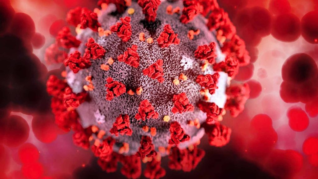 Hantavirus Mematikan: 7 Fakta Mengerikan dan Mengejutkan
