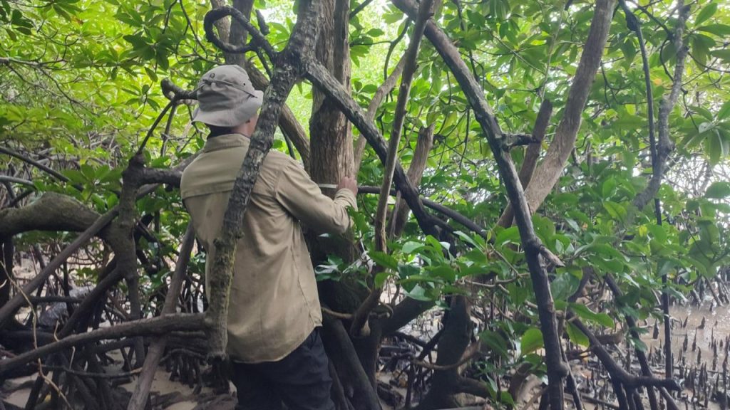 YG Siaran Pers Foto 1 BRIN Temukan Populasi Mangrove Langka Terancam Punah di Teluk Balikpapan