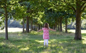 800 avenueoftreesinwansteadparkeppingforest creditcityoflondoncorporationhires