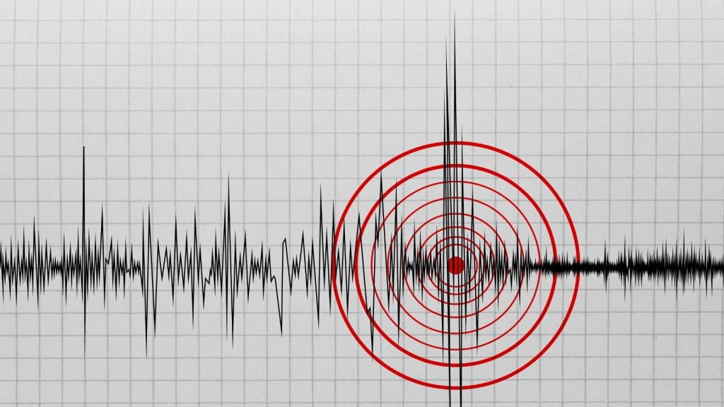 Gempa Palu 2026 419 Gempa Susulan, 1 Korban Meninggal dan Ratusan Bangunan Rusak

