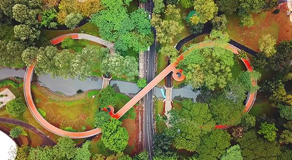Libur Sekolah di Jakarta: Itinerary One Day Trip Seru, Murah, dan Edukatif Bersama Keluarga 2 Infinity Link Bridge Tebet Eco Park 2