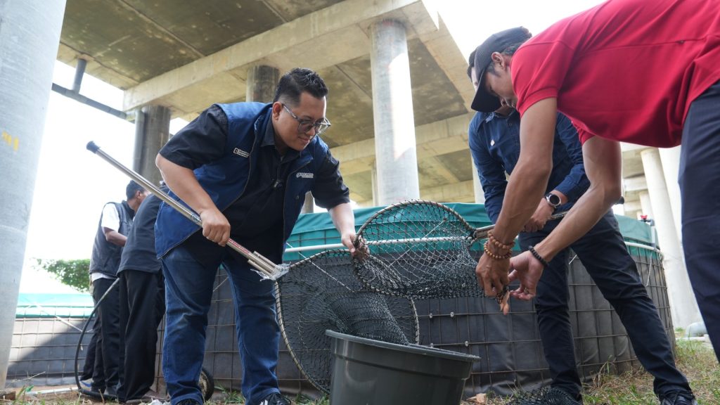 Panen Perdana Budidaya Nila di Bekasi, PT API
 
